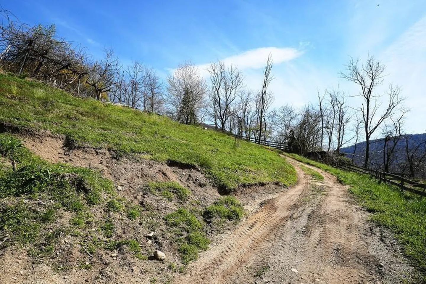 Casa 2 locali con molto terreno in una posizione molto tranquilla e soleggiata... - Foto 35 di 39