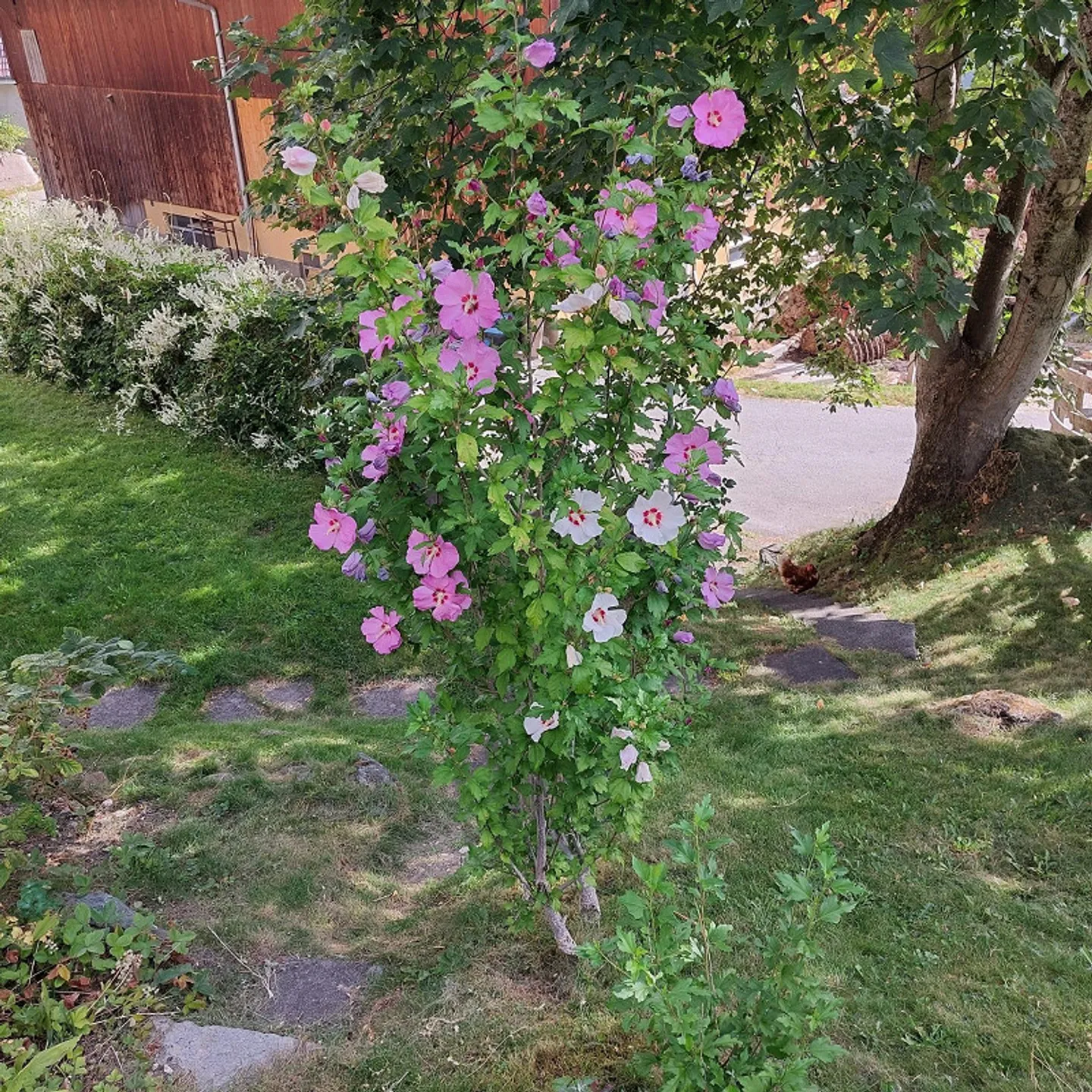 1.5 Room Holiday Second Home - Photo 5 of 13