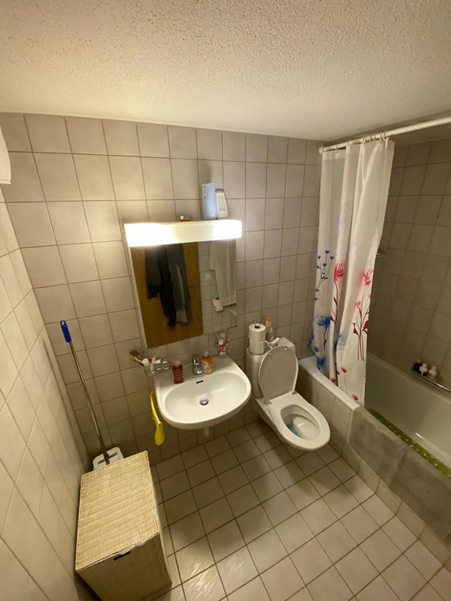 3.5 room apartment - Photo 3 of 4