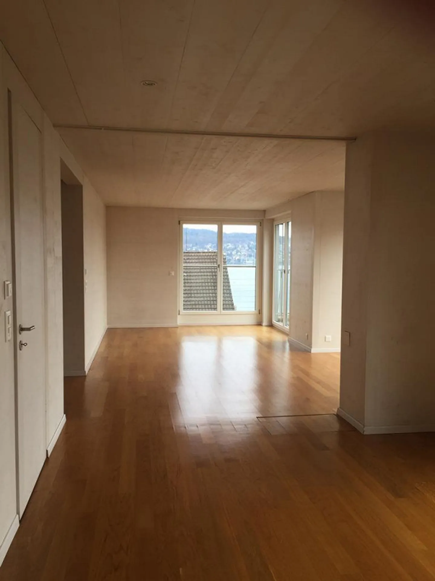 Bellissimo attico di 2,5 stanze con vista lago - Foto 3 di 6