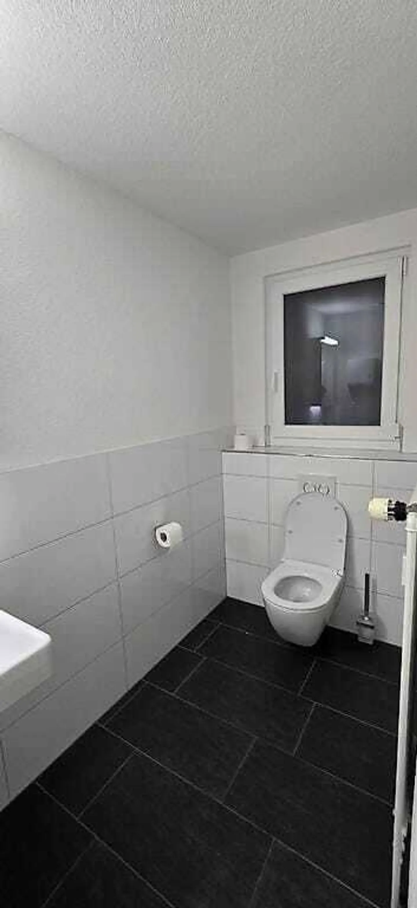 Espace de vente 100 m² à Rorschach - Emplacement de choix près du port - Photo 11 sur 11