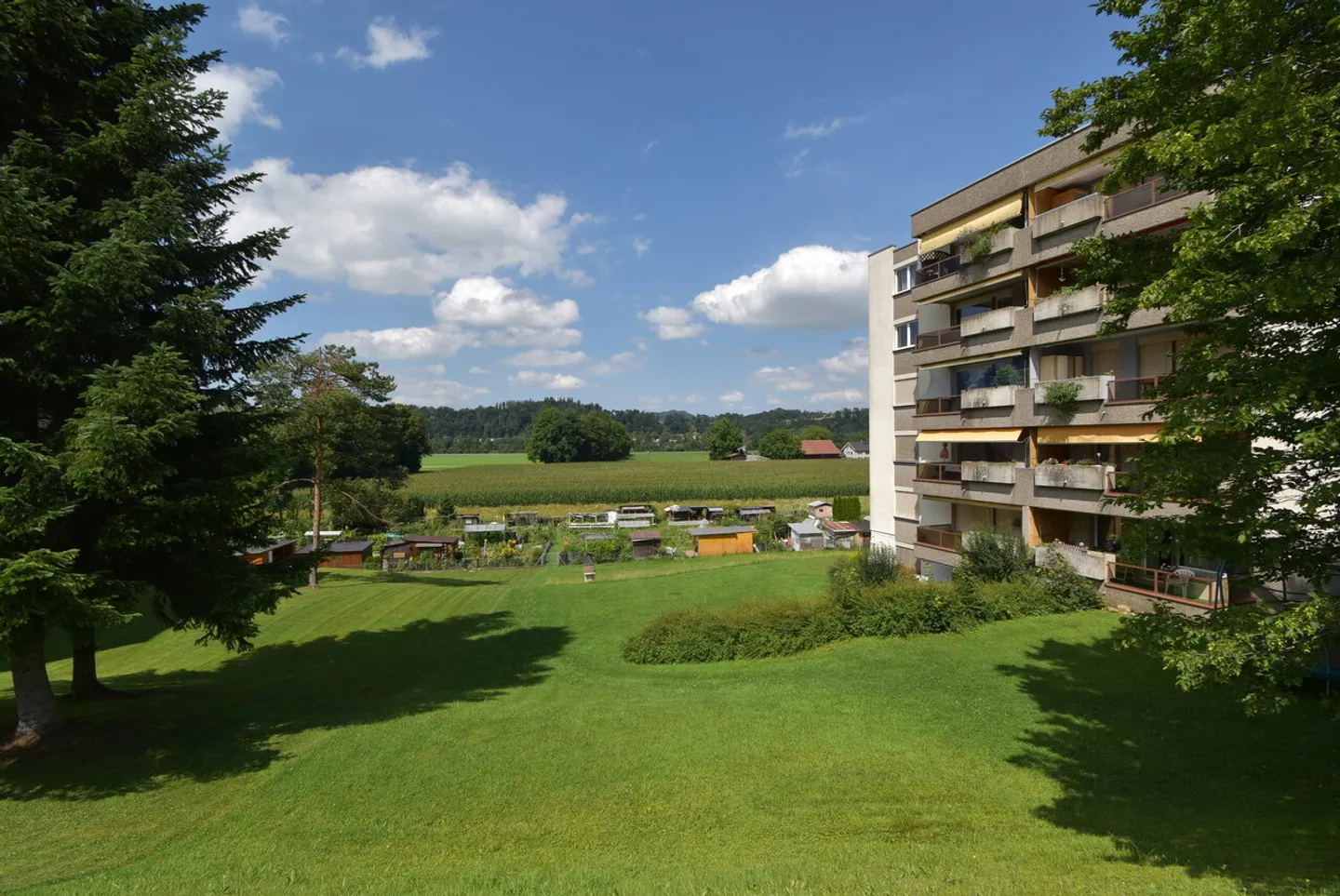 Prima occupazione dopo ristrutturazione - Foto 10 di 11