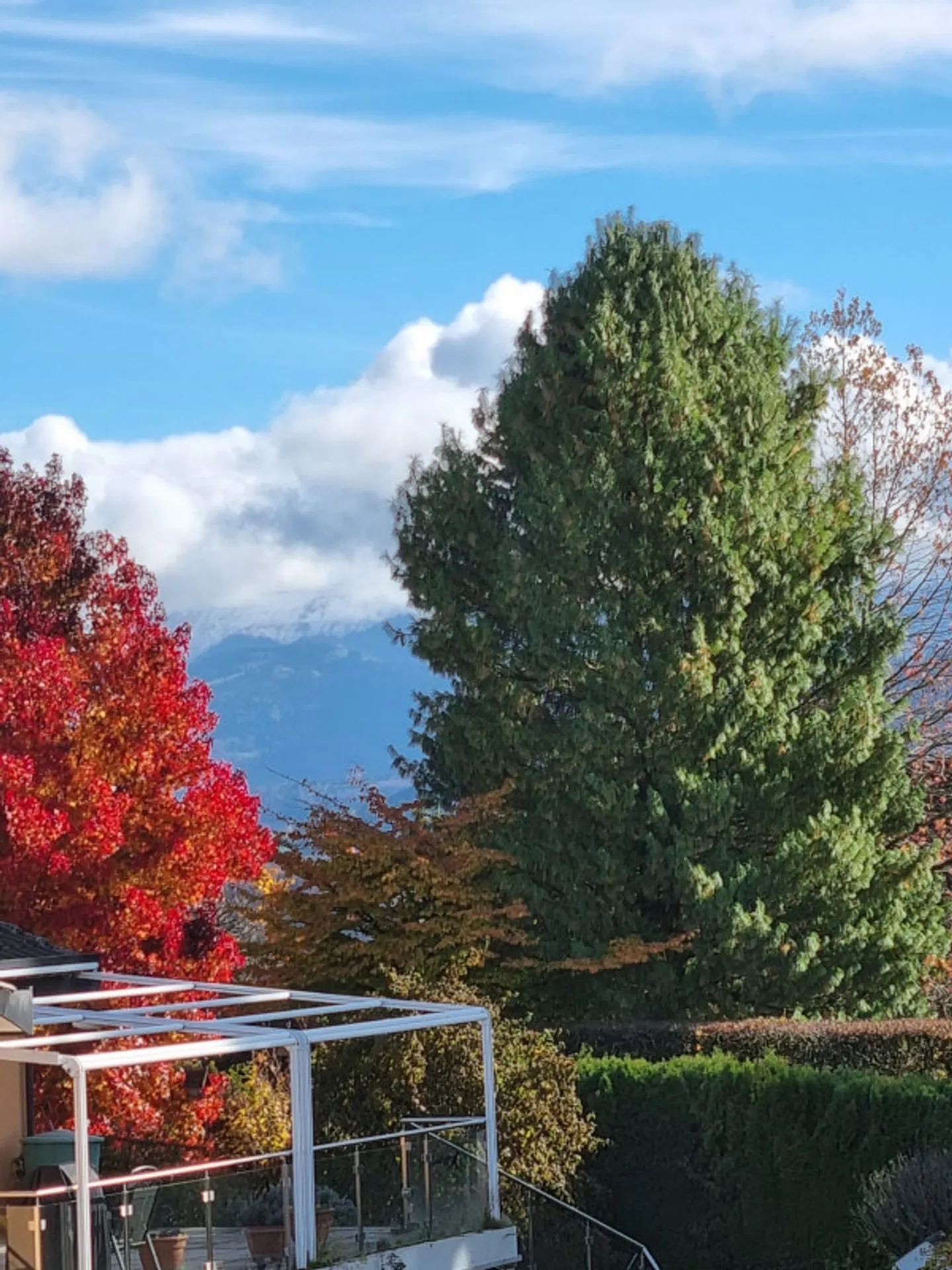 ERSTKLASSIG NEU - 5.5 ZIMMER IN VILLA IN SAVIGNY (VD) - Foto 10 von 10