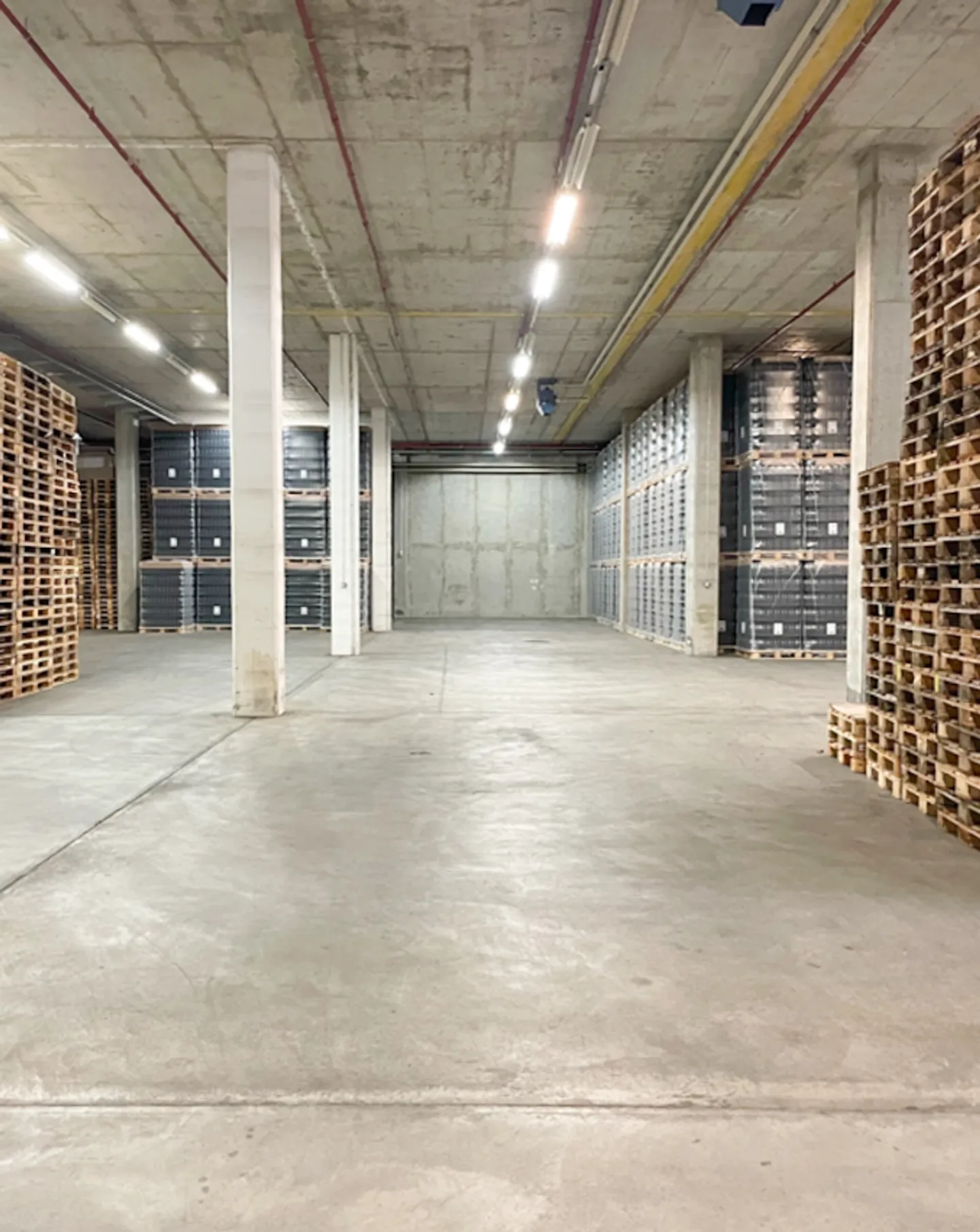 Erdgeschoss-Logistiklager mit Docks in der Industriezone von Allaman - Foto 2 von 4