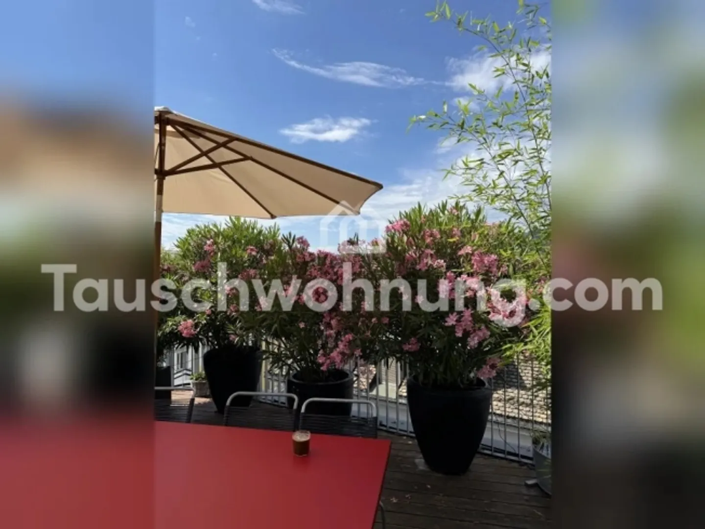 Appartamento in affitto - Foto 17 di 17