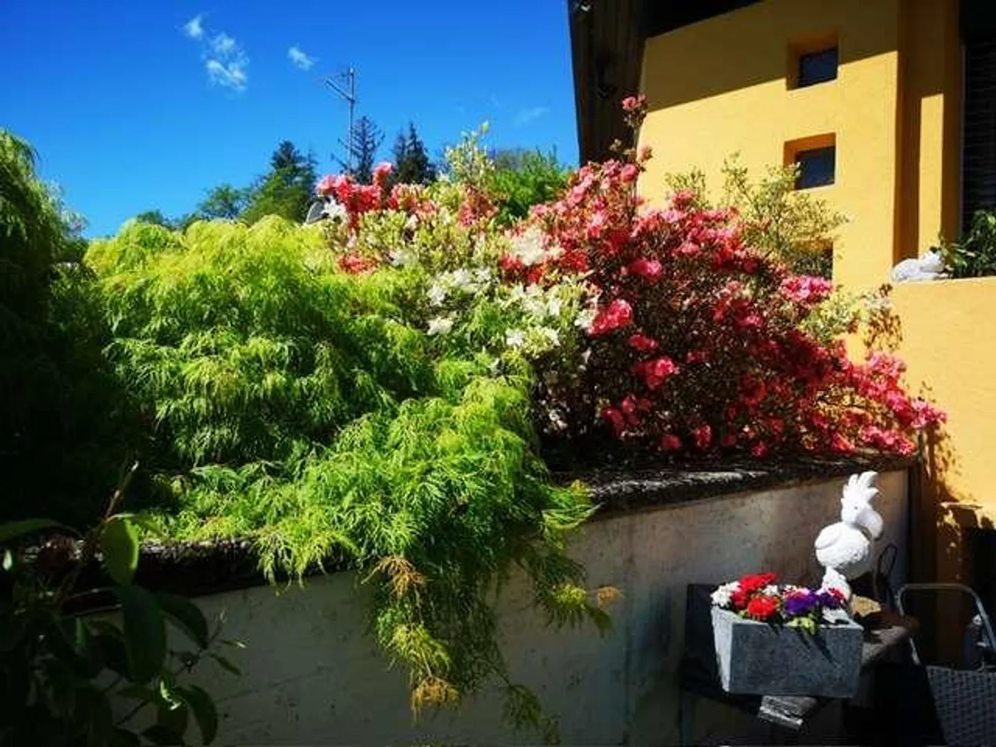Elegante casa di campagna con giardino e piscina a Pura - Foto 13 di 13