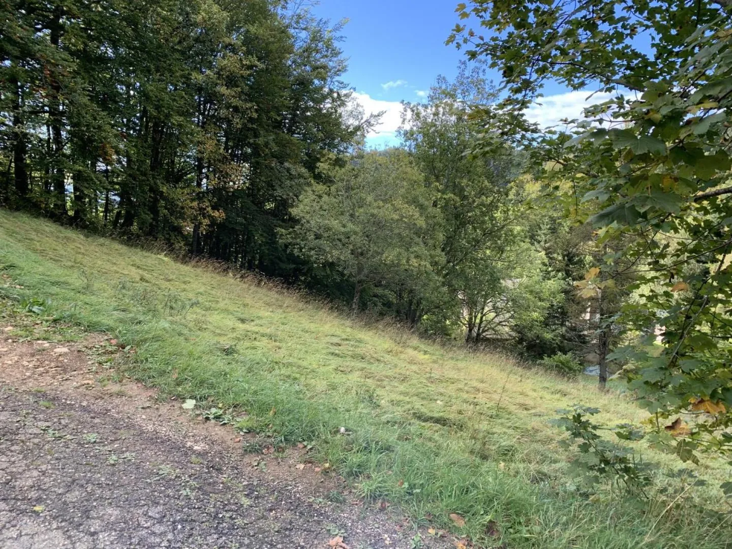 Baugrundstück in St-Cergue - Foto 1 von 7