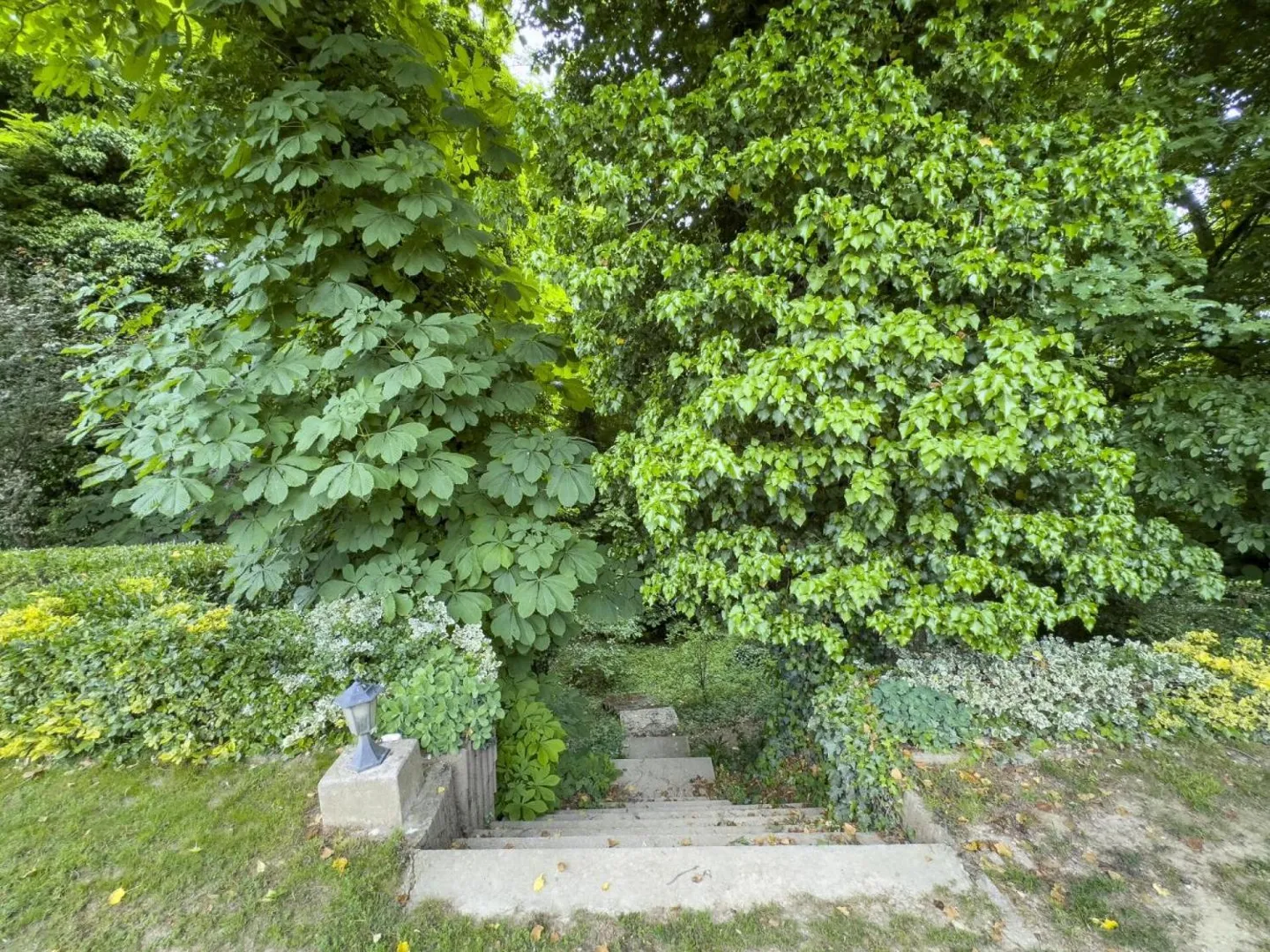 Charmante Villa mit Garten - Foto 13 von 13