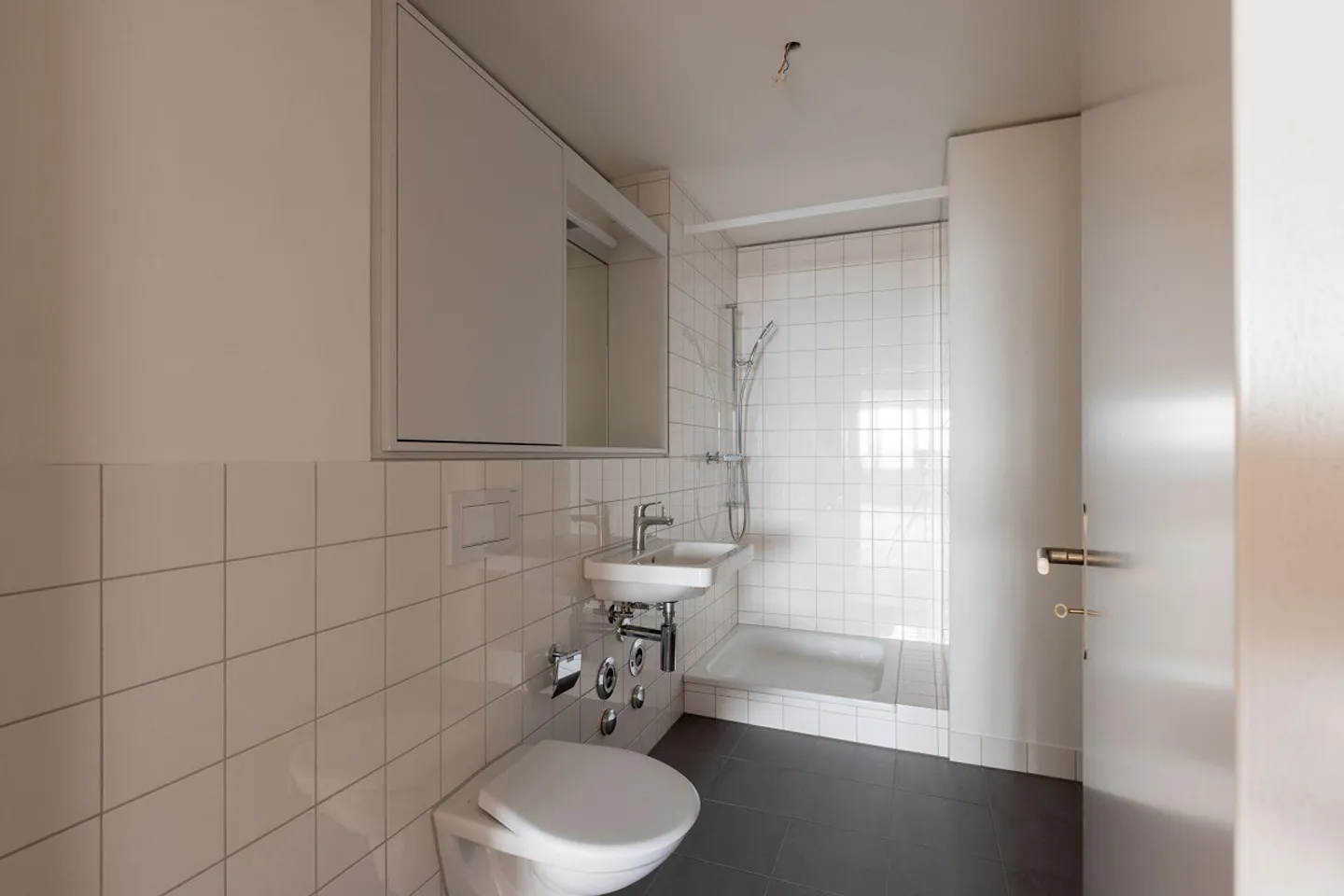 Ampio appartamento di 4,5 stanze 09.13 con vista esclusiva - Foto 3 di 19