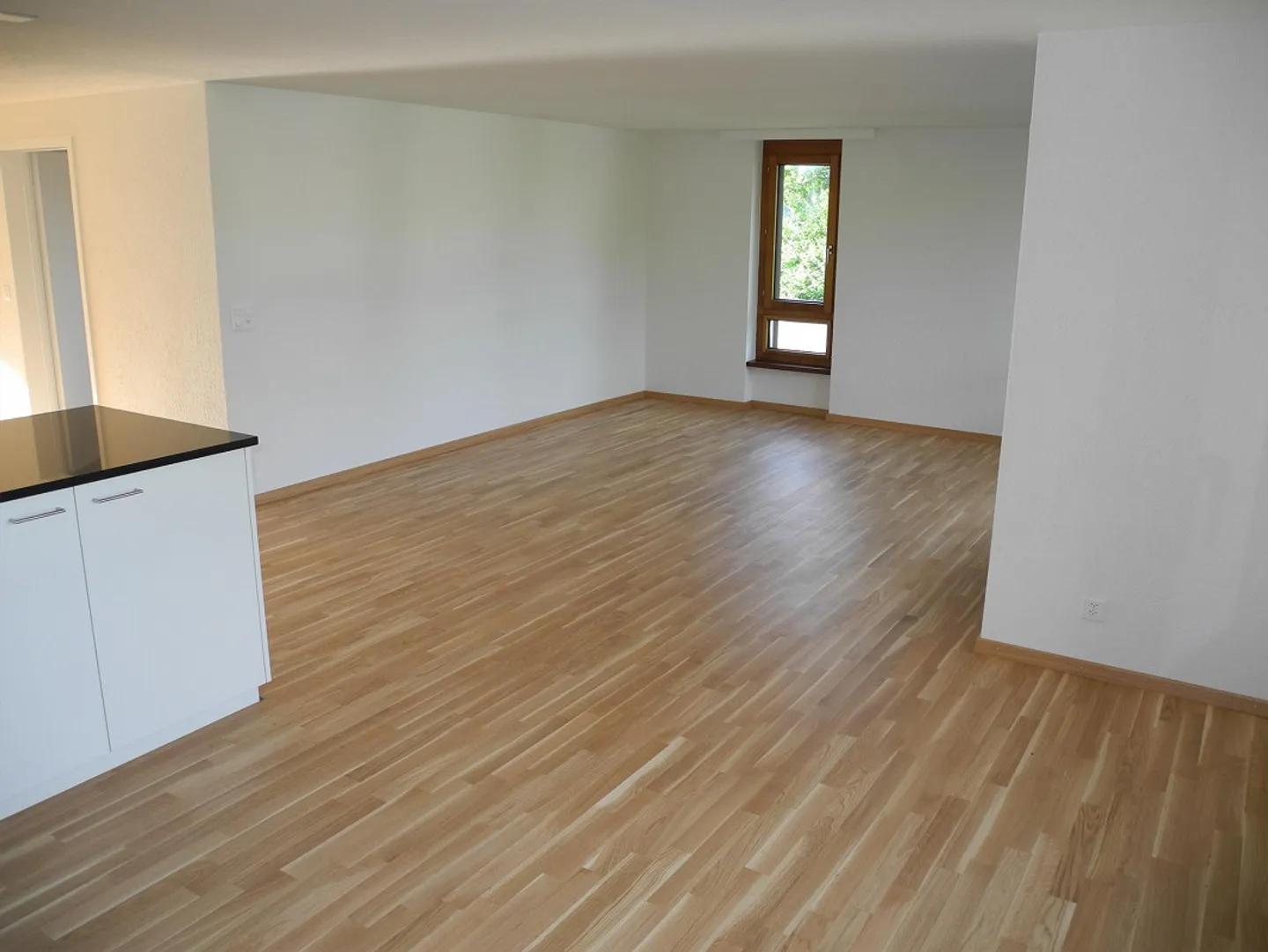 Appartement moderne de 4,5 pièces avec vue sur les montagnes d'Alpstein - Photo 4 sur 13