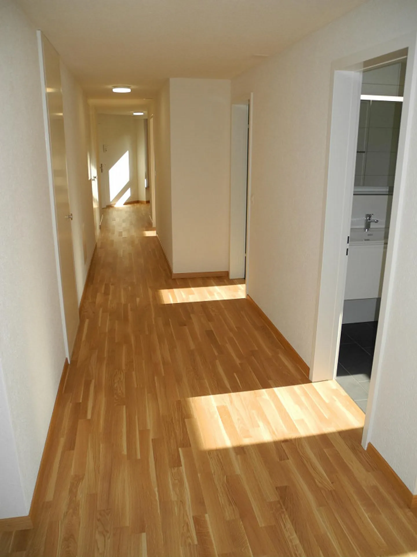 Appartement moderne de 4,5 pièces avec vue sur les montagnes d'Alpstein - Photo 7 sur 13