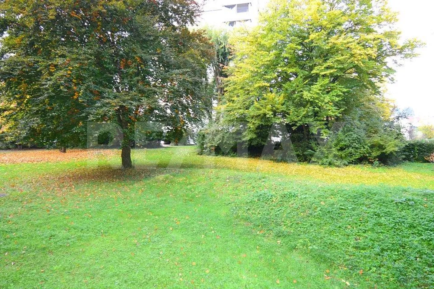 Appartement 4.5 pièces - Foto 6 von 10