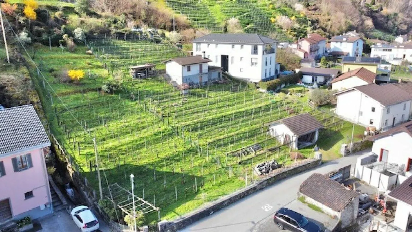 Geräumiges Baugrundstück in Contone - Foto 4 von 11