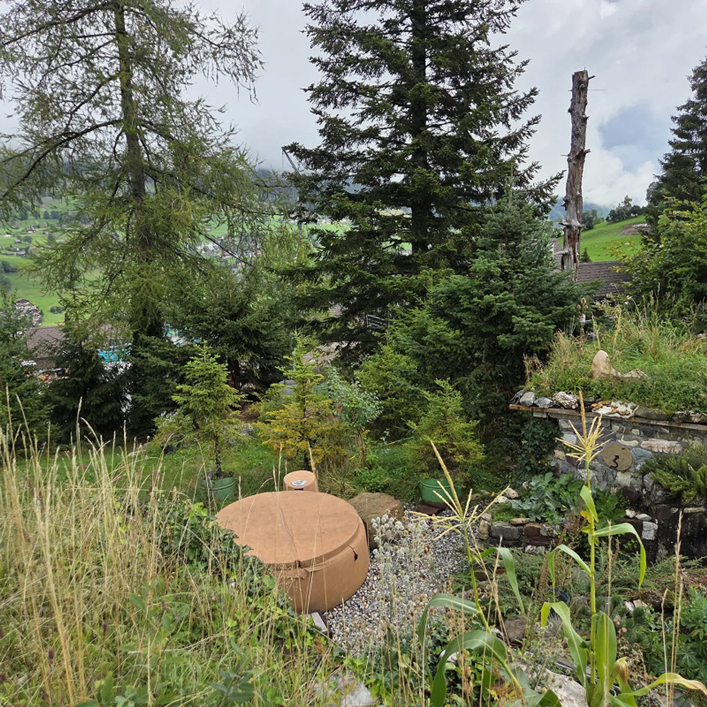 Building land for Tiny House Chalet - Photo 5 of 13