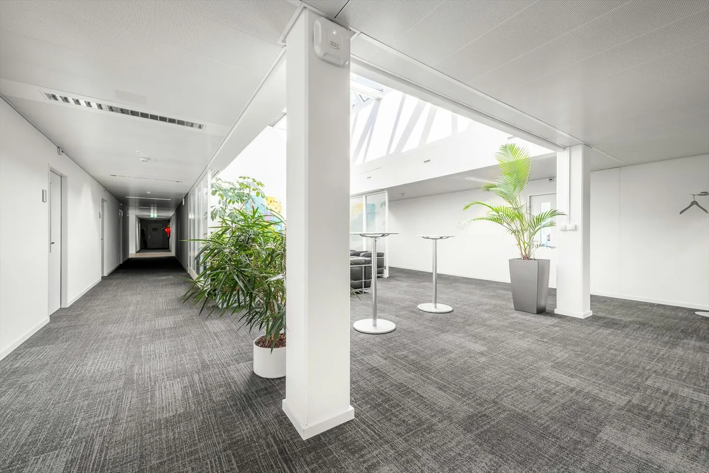 12 - 3'000m² Spazi per uffici sviluppati con vista sul lago - Foto 6 di 13