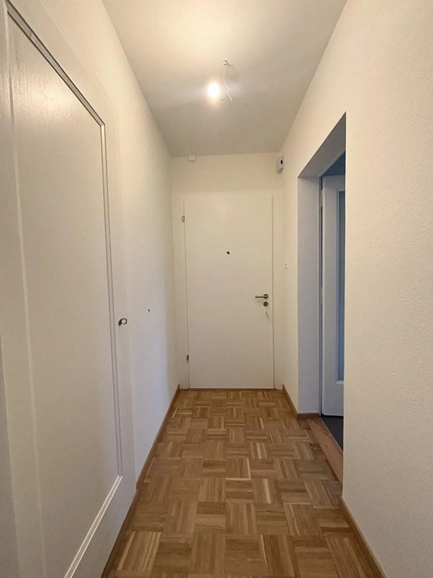 Completely renovated apartment near all amenities - Photo 2 of 10