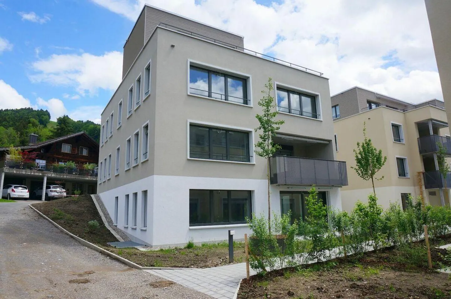 Nuova costruzione: Edificio residenziale/commerciale - Casa multigenerazionale (Minergie-P) - Foto 1 di 12