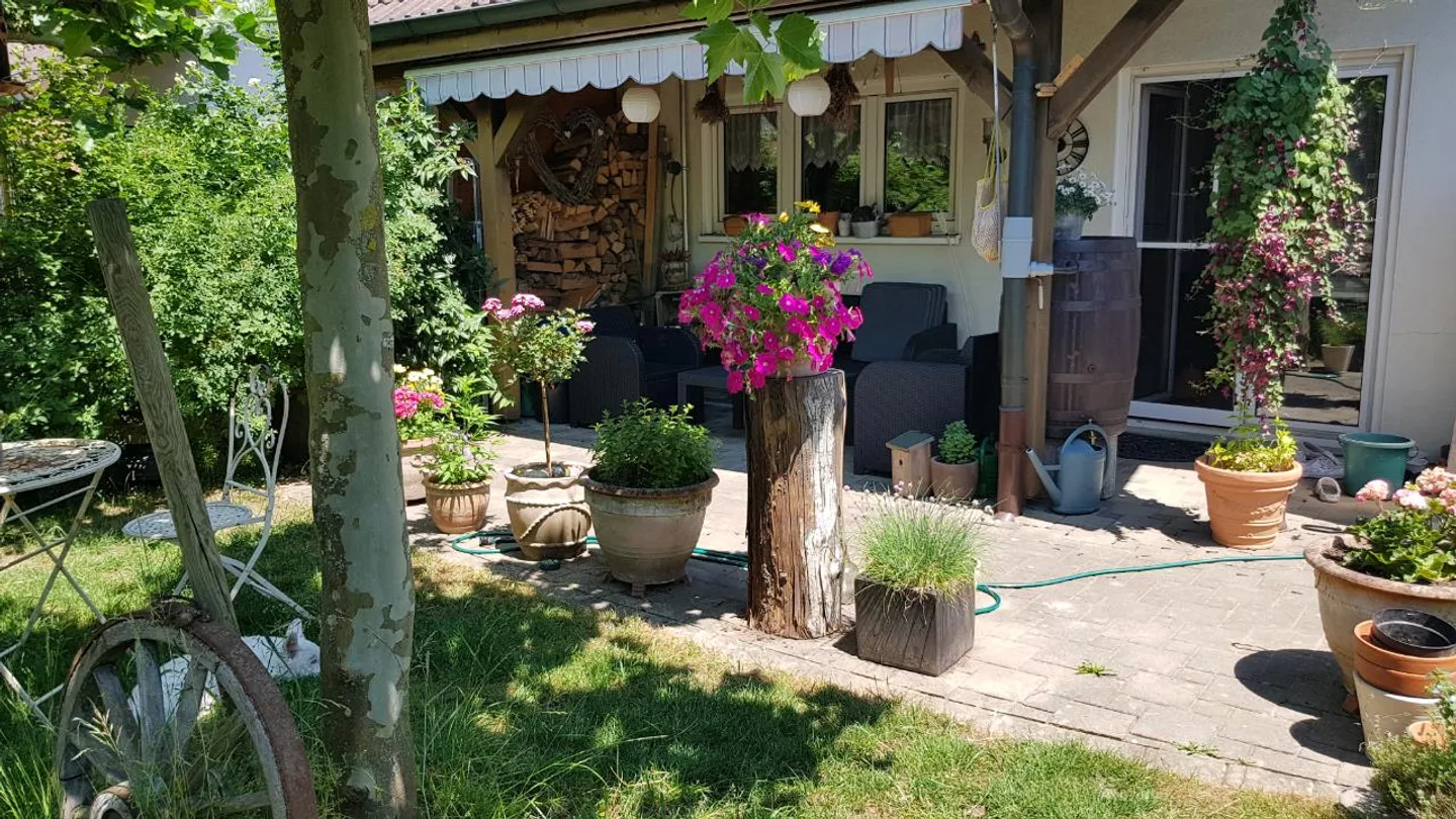 Detached house with natural garden & photovoltaic system - Photo 17 of 28