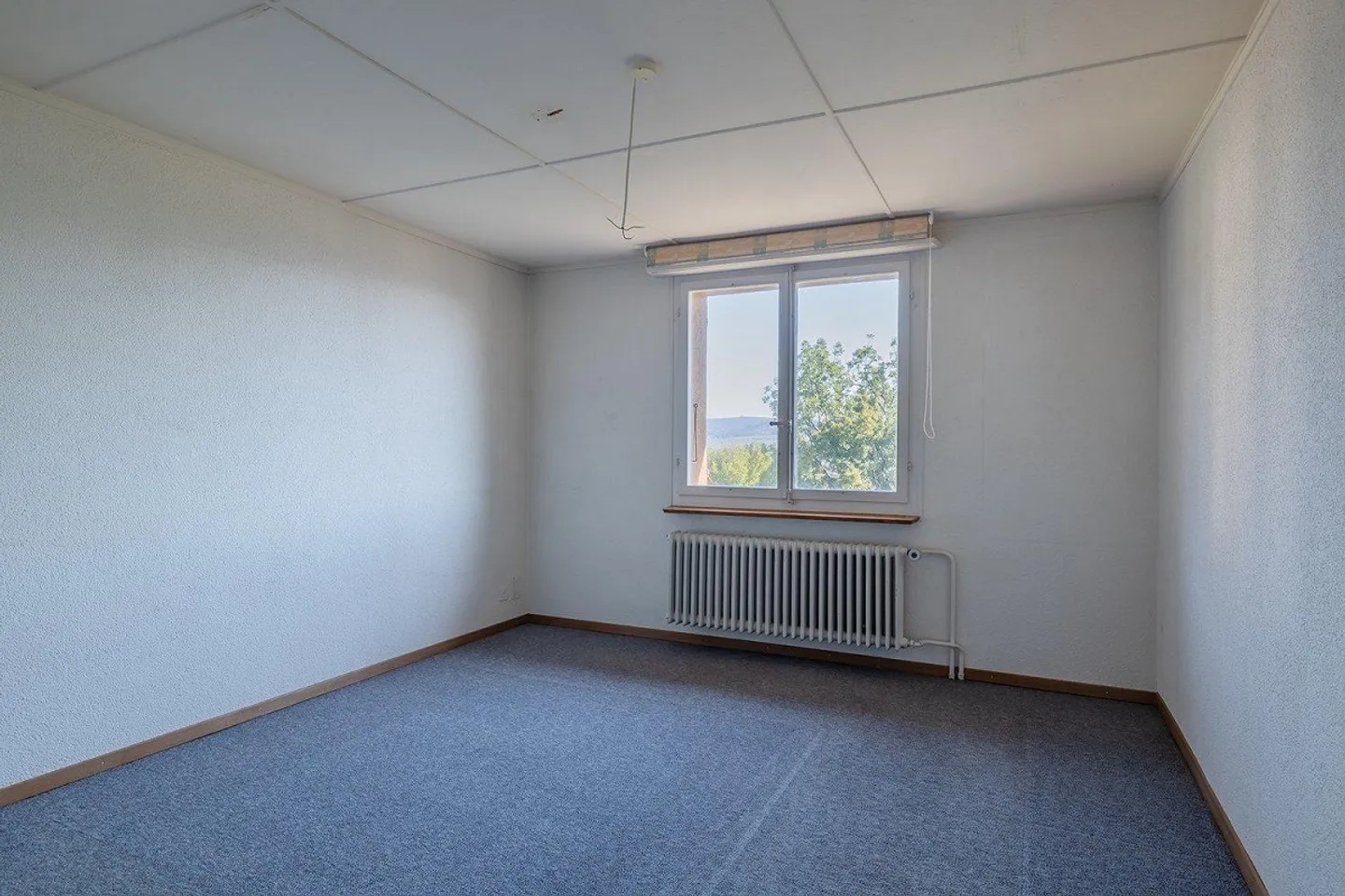 Vivere comodamente con vista – Appartamento di 3,5 stanze a Belp - Foto 4 di 11