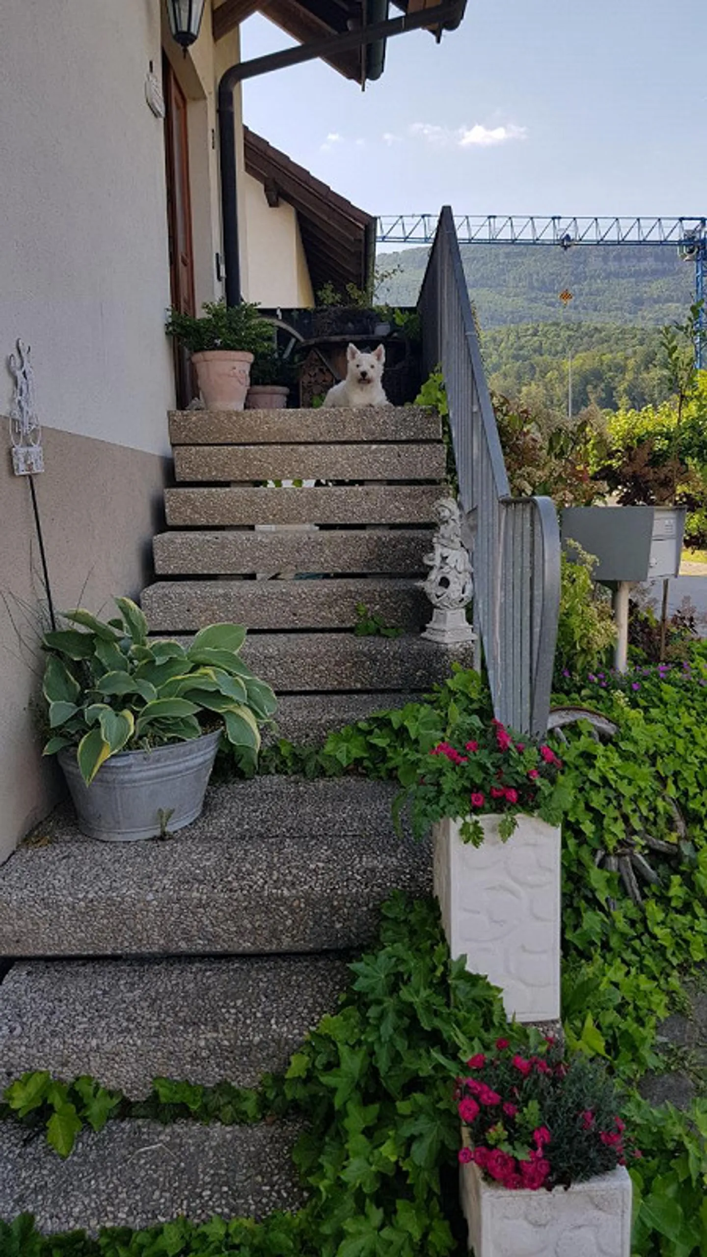 Detached house with natural garden & photovoltaic system - Photo 21 of 28