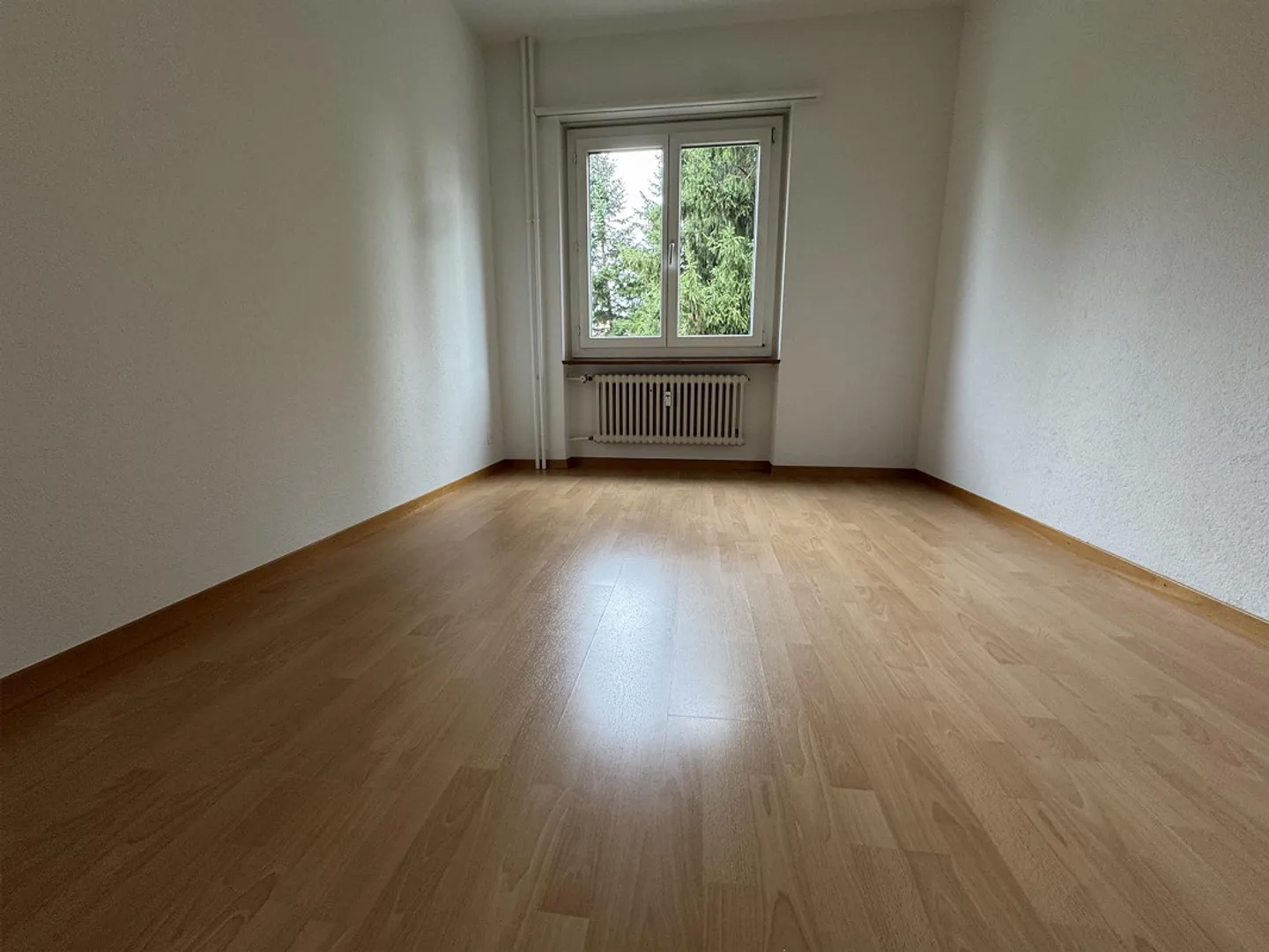 Charmante Wohnung in Bern - Foto 4 von 19