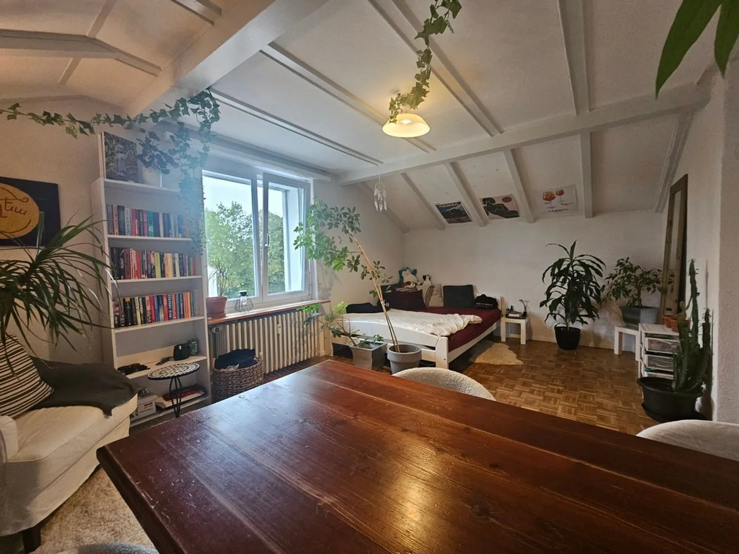 Hell und Grosszügig - Foto 7 von 13