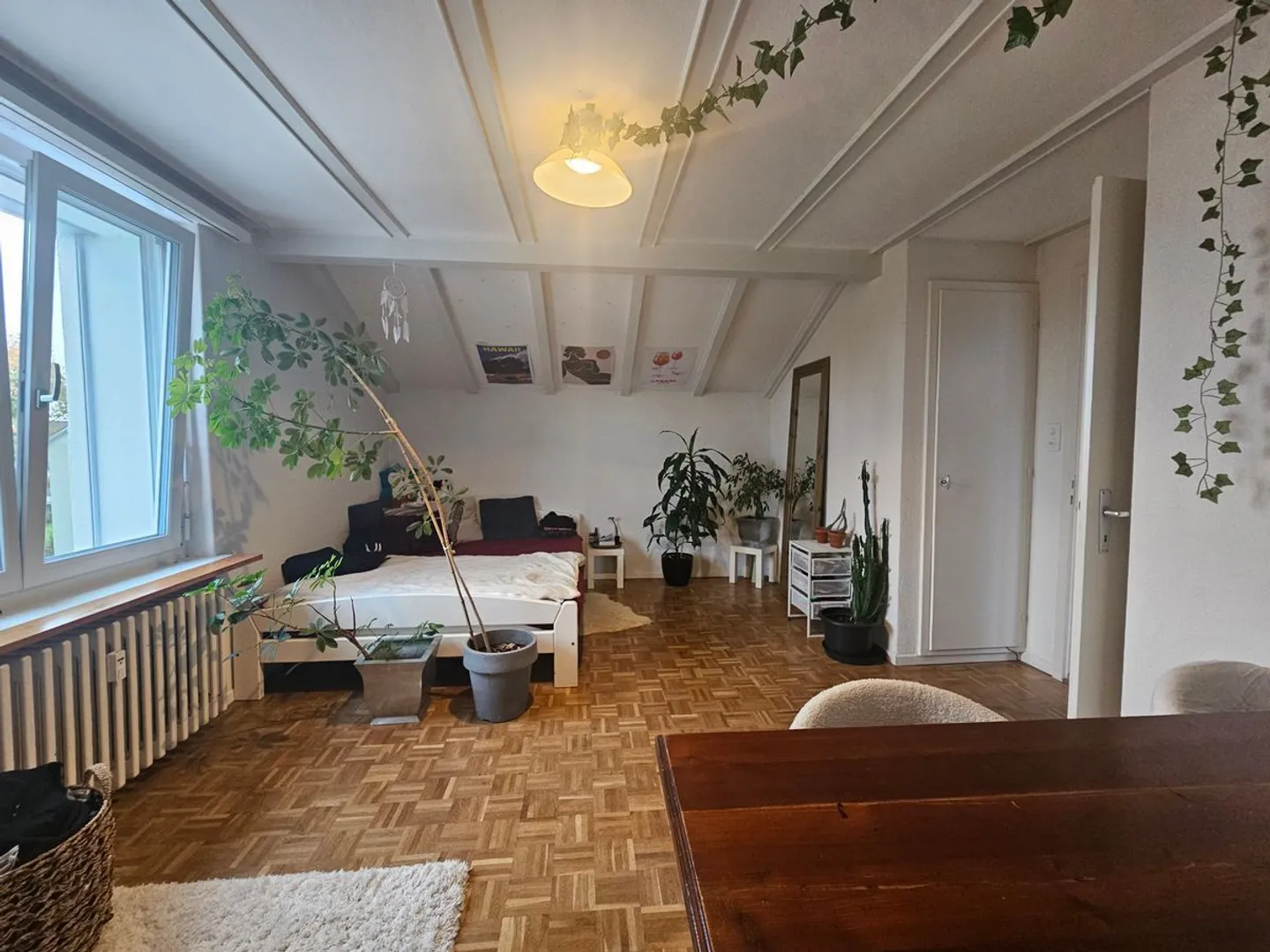 Hell und Grosszügig - Foto 4 von 13