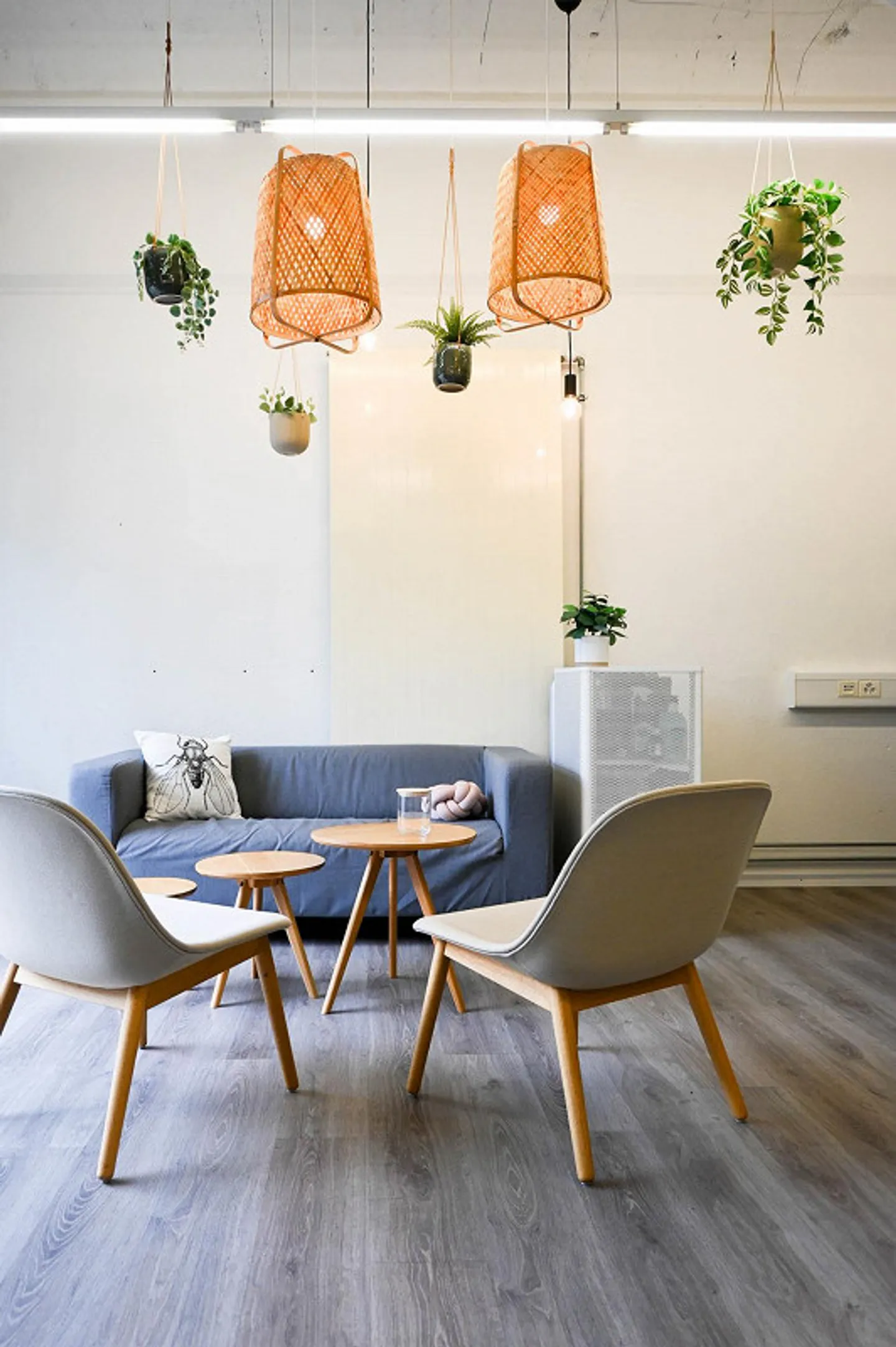 High Ceilings for Great Ambitions - Photo 2 of 7