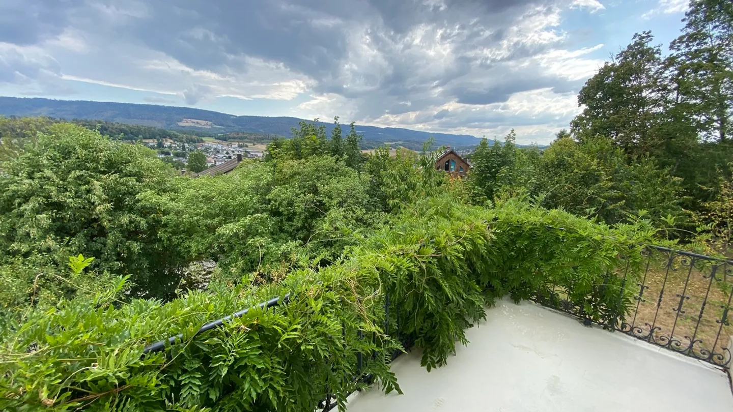 Maison de maître avec 1480 m2 de terrain et vue extraordinaire - Photo 17 of 37