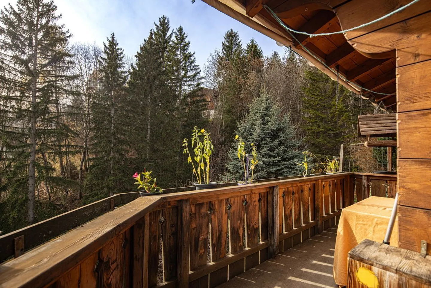 Charmantes Einfamilienhaus mit Panoramaaussicht in die Bündner Berge - Foto 4 von 13