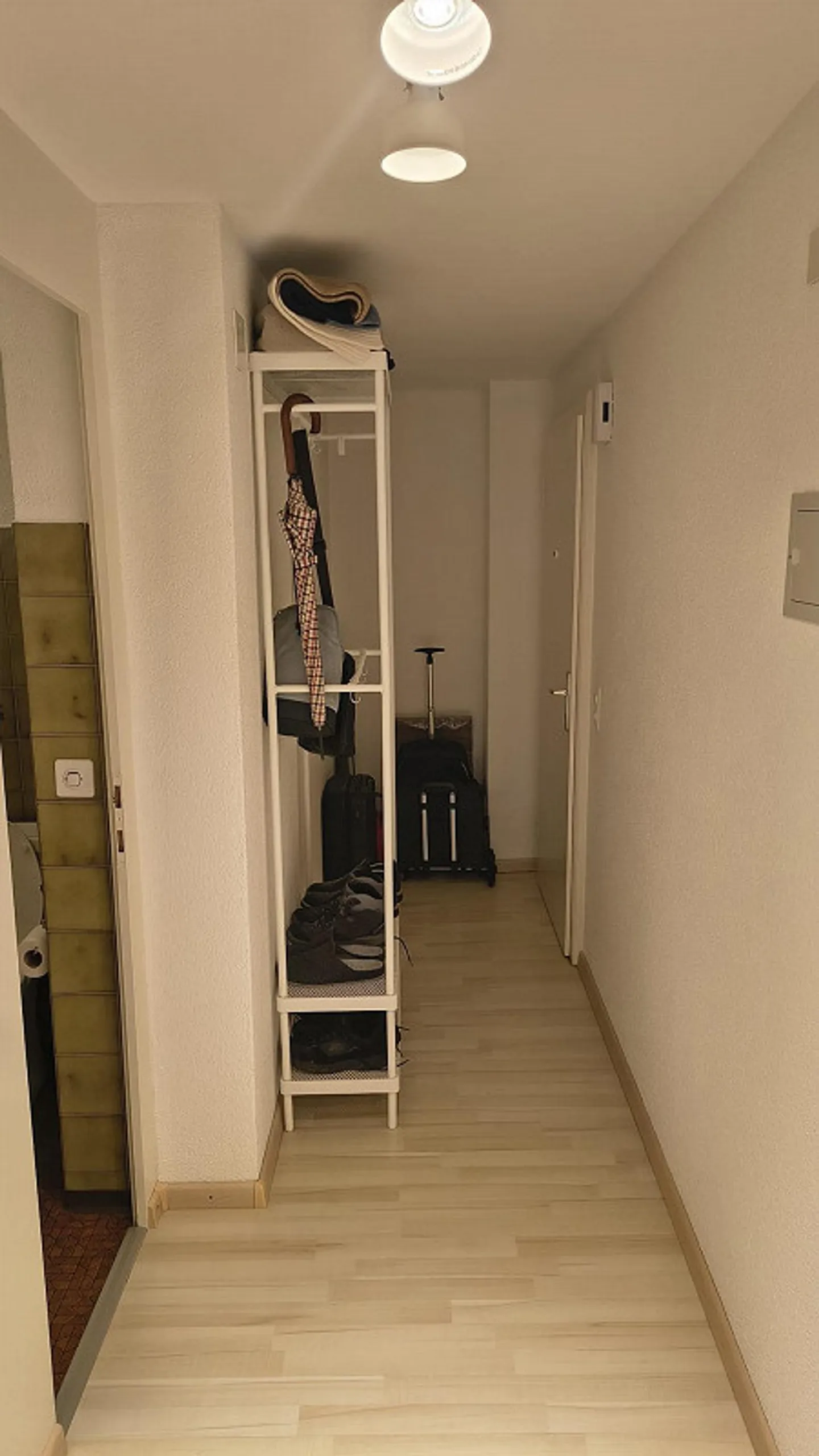 Appartement 1,5 pièces - Photo 3 sur 8