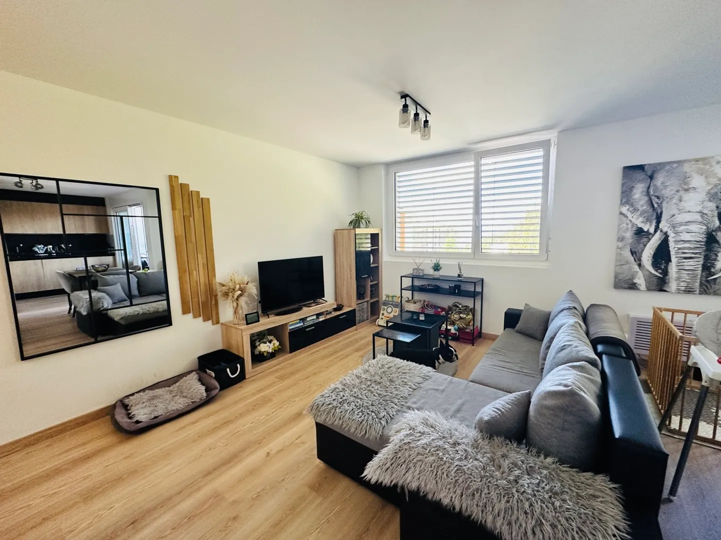 2.5 Room Apartment - Photo 2 of 11