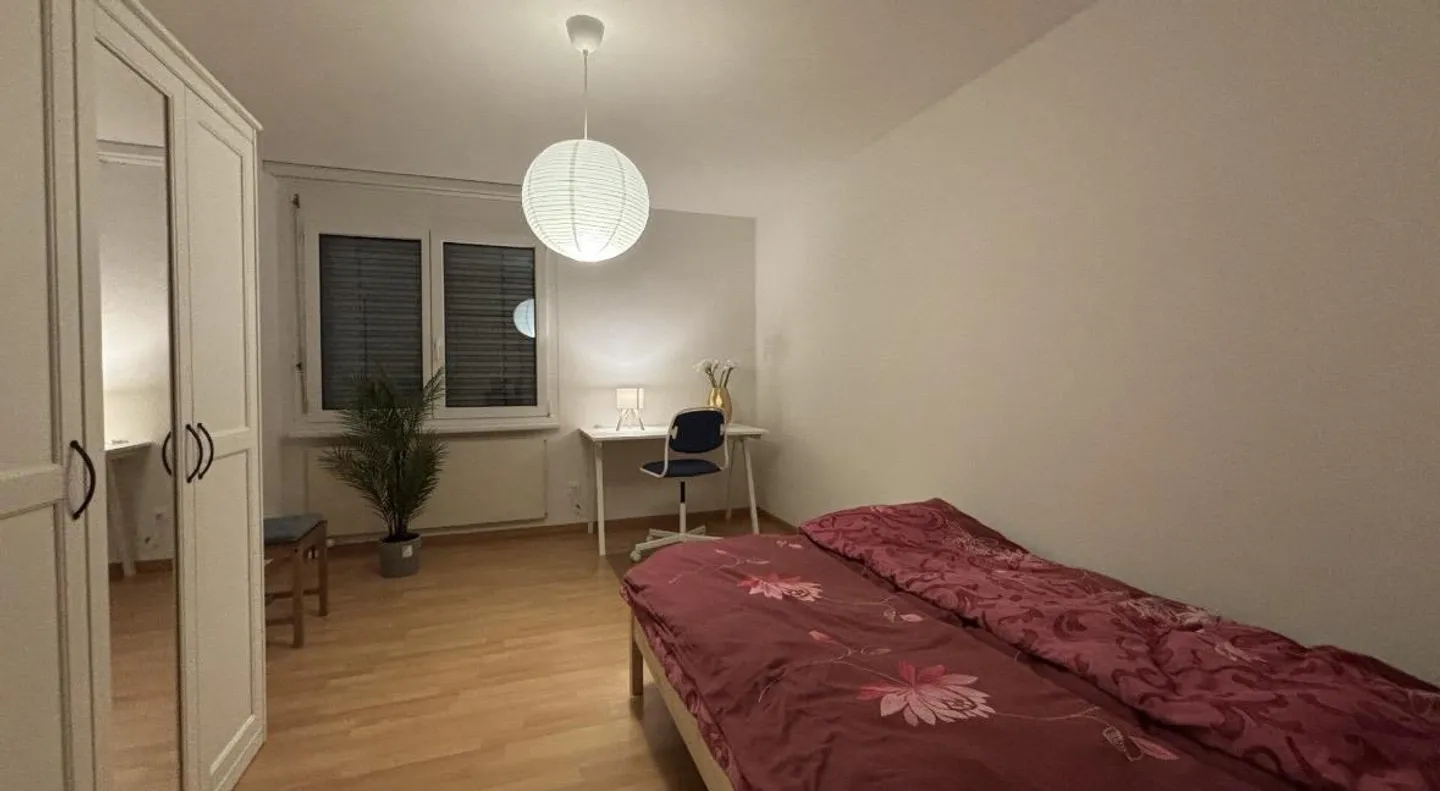 Camera WG arredata, terrazza, tranquilla, centrale - Foto 8 di 13