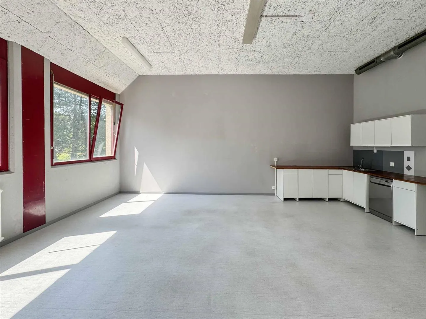 Heller Workshop von 365 m² in Meyrin - Foto 4 von 11