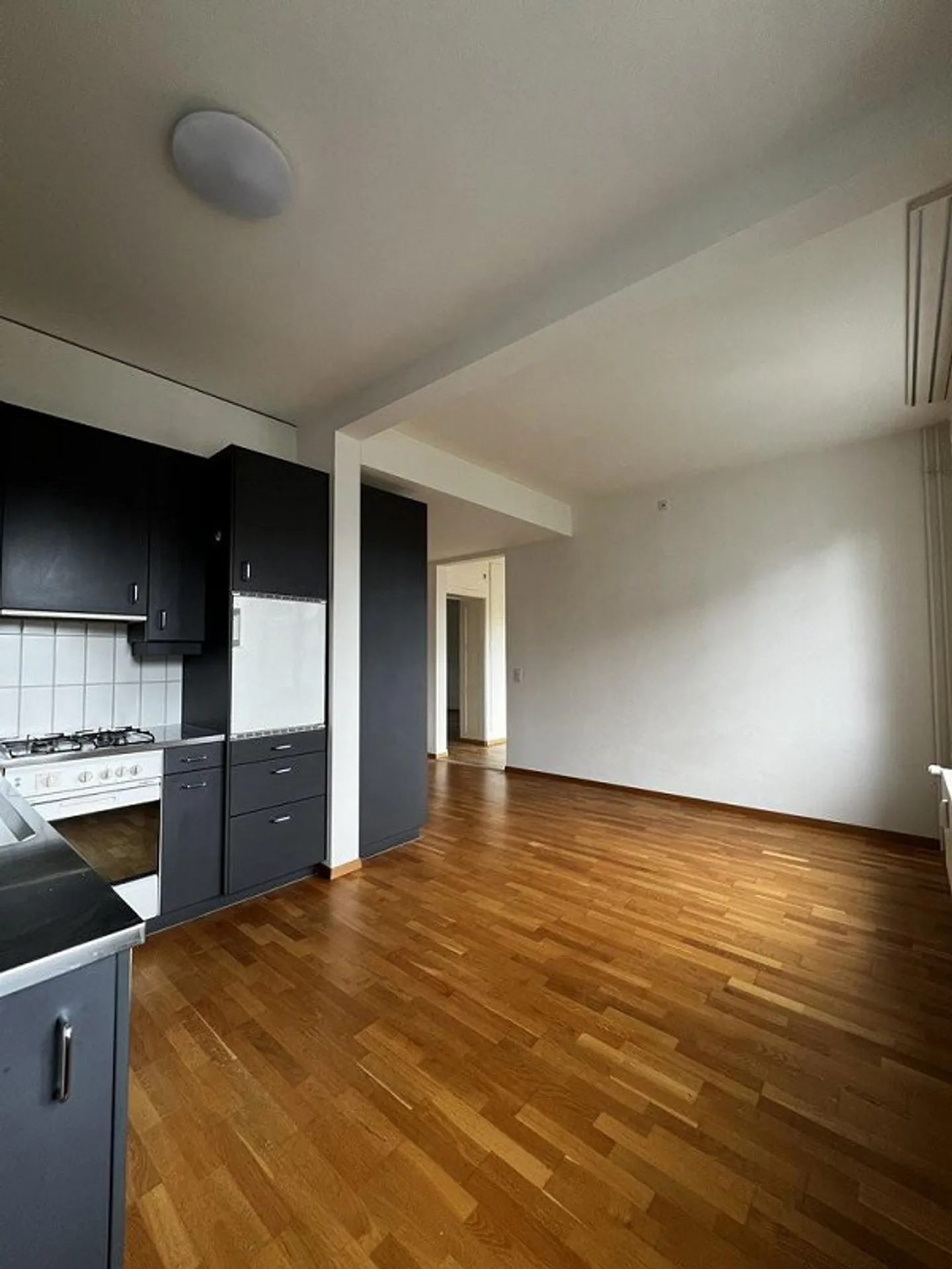 Appartement spacieux et calme à louer sans loyer pendant un mois ! - Photo 2 sur 10