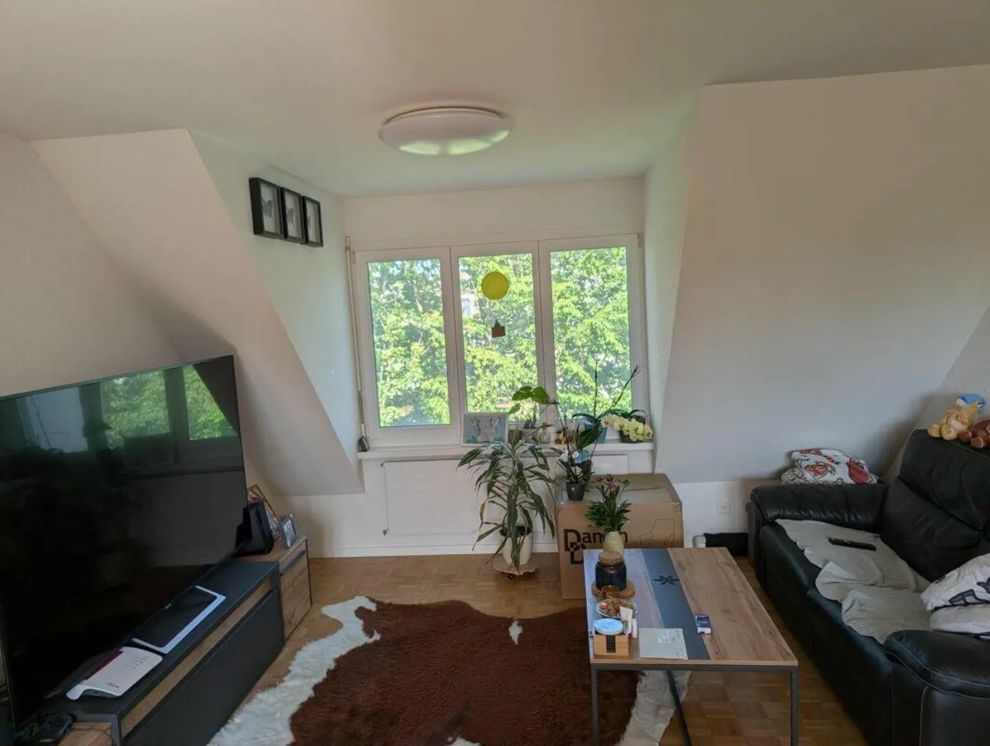 Charmante Wohnung in Rheinfelden - Foto 1 von 5