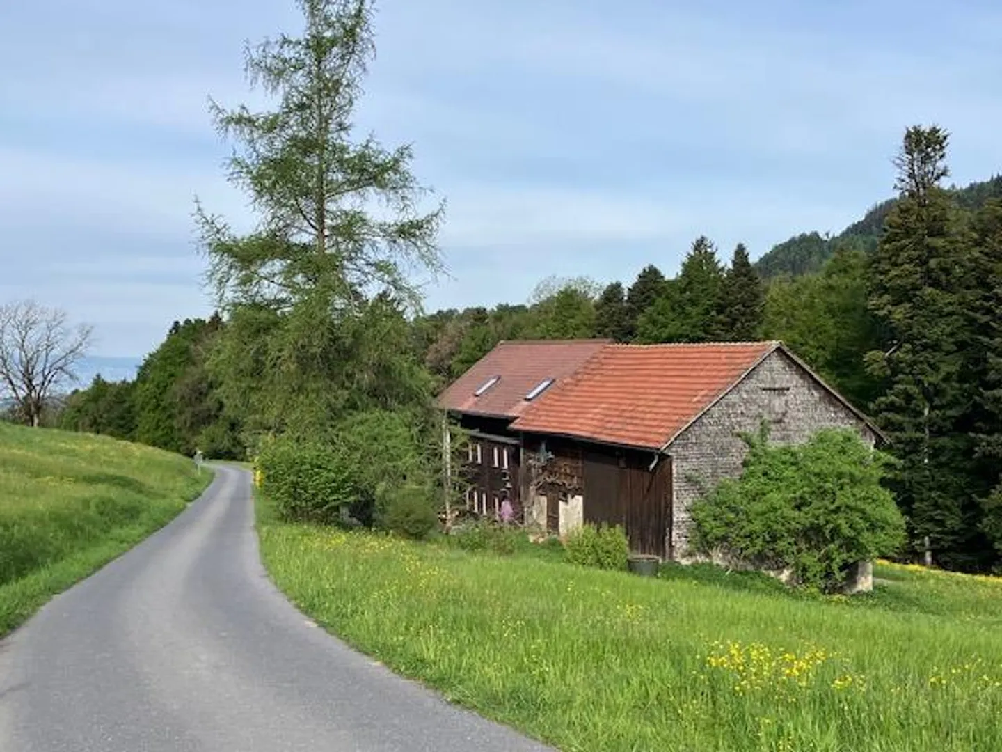 Fattoria Situata in Posizione Tranquilla - Foto 1 di 11