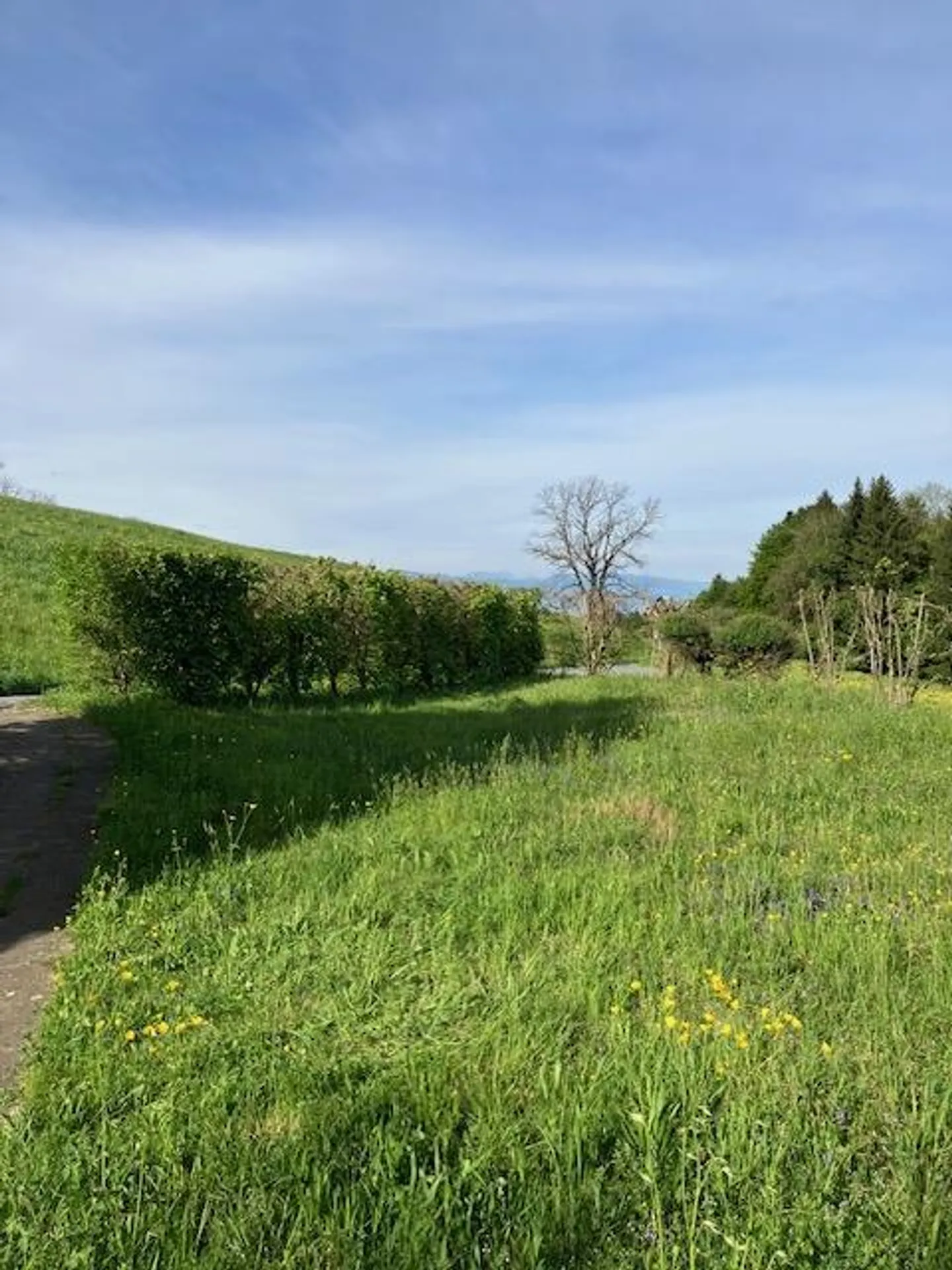 Fattoria Situata in Posizione Tranquilla - Foto 3 di 11