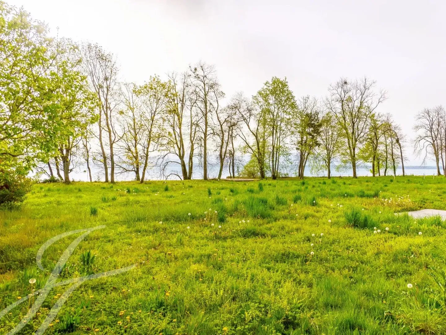 Parcelle de 7'585m2 directement au bord de l'eau - Photo 2 sur 3