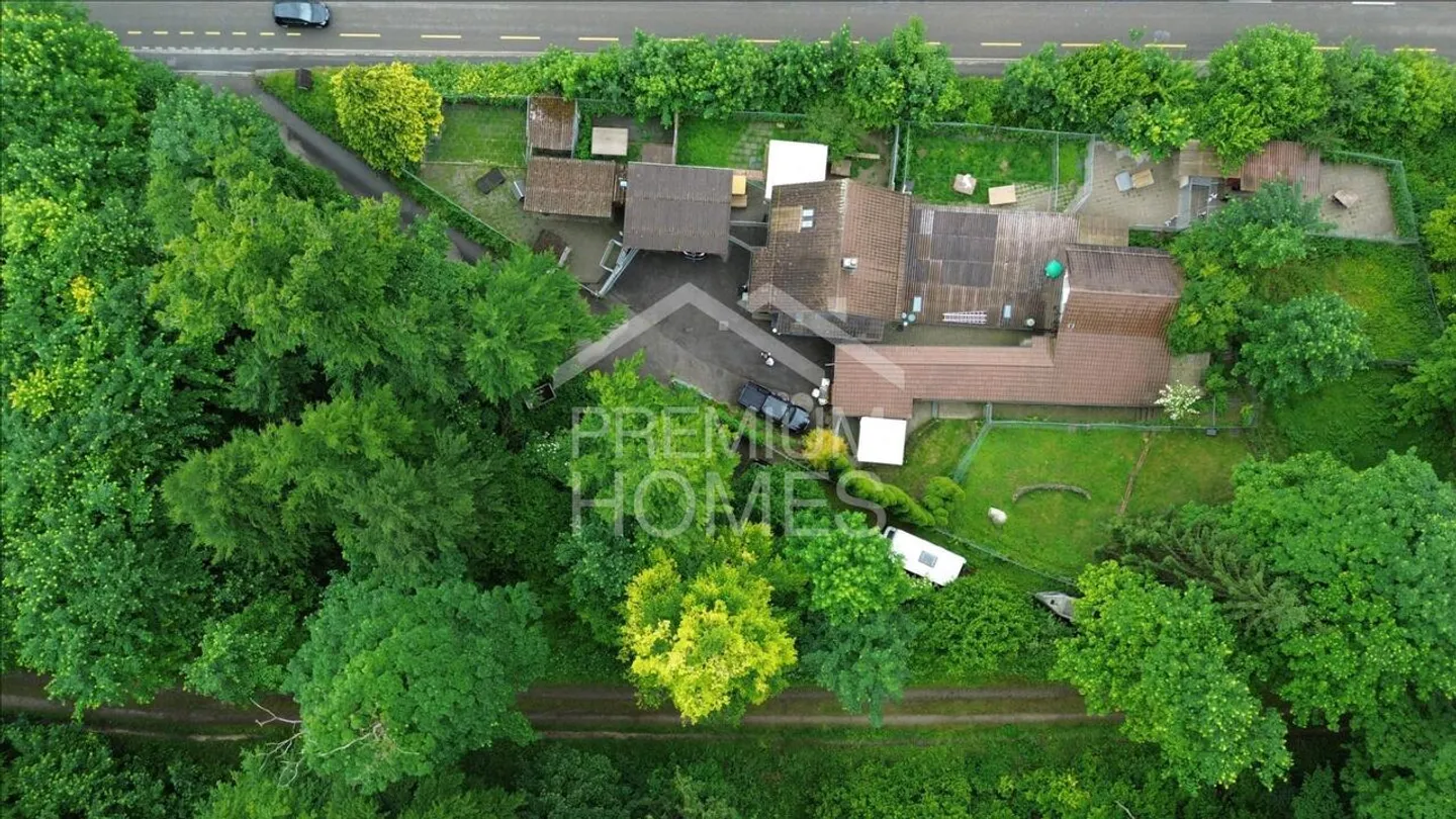 20 anni di successo nel settore cinofilo con pacchetto immobiliare - Foto 2 di 3