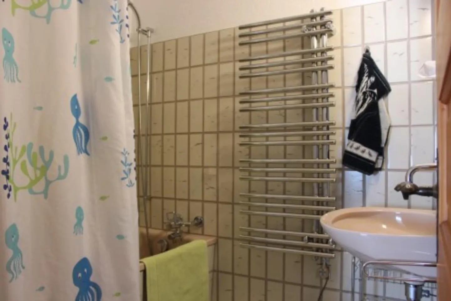 4.5 Room Apartment with Terrace and Garden Share, Mountain View - Photo 4 of 6