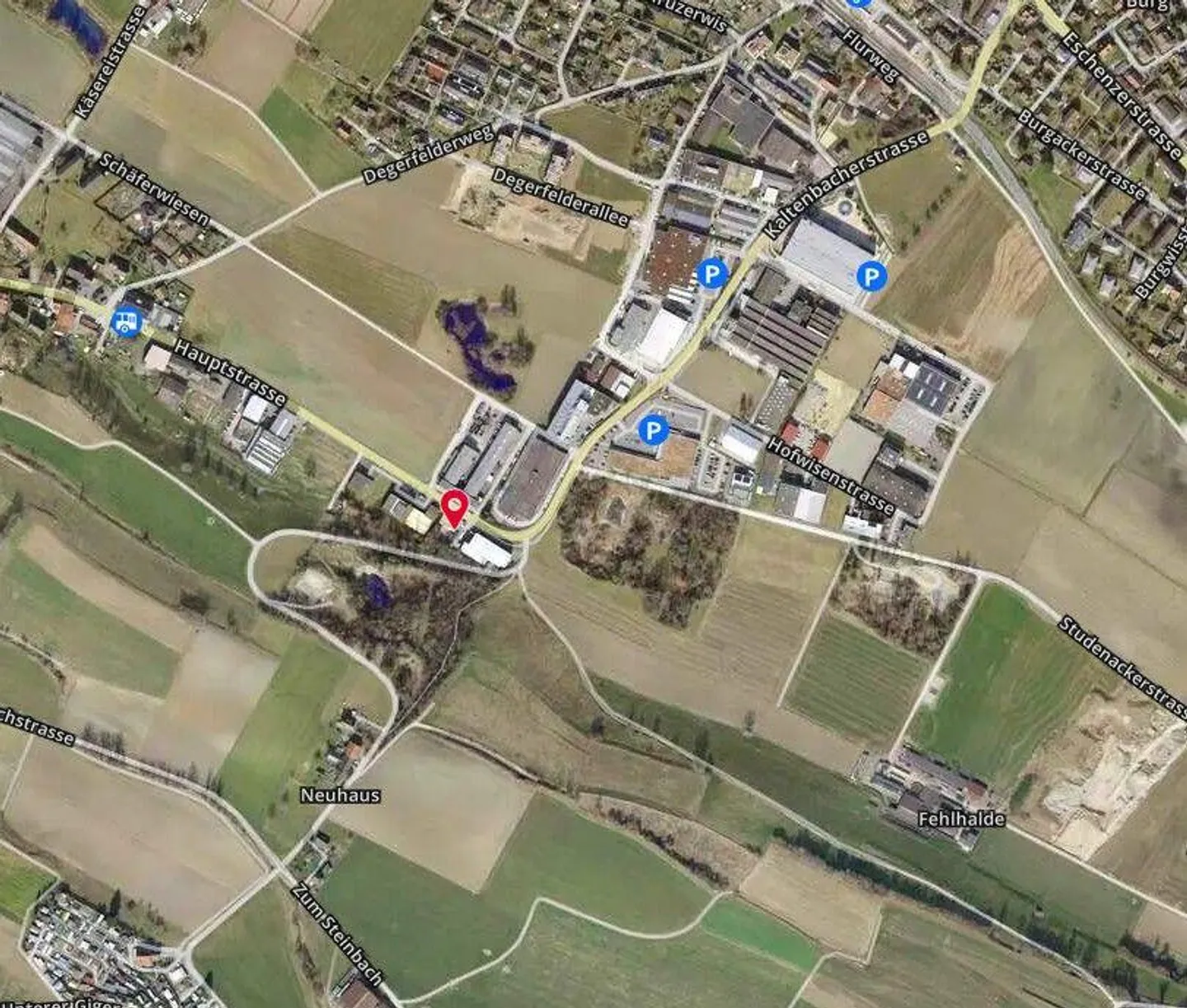 Exhibition Building - Photo 4 of 13