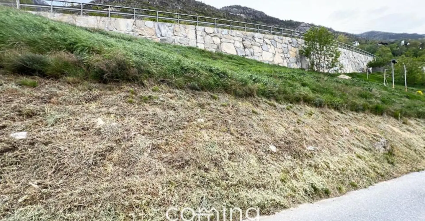 Terreno edificabile a Steg - 722 m², permesso di costruzione e progetto di tiny house inclusi - Foto 4 di 6