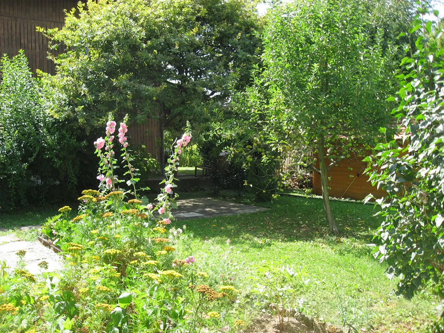 Appartamento 4 locali soleggiato, tranquillo e centralmente situato in affitto - Foto 6 di 15