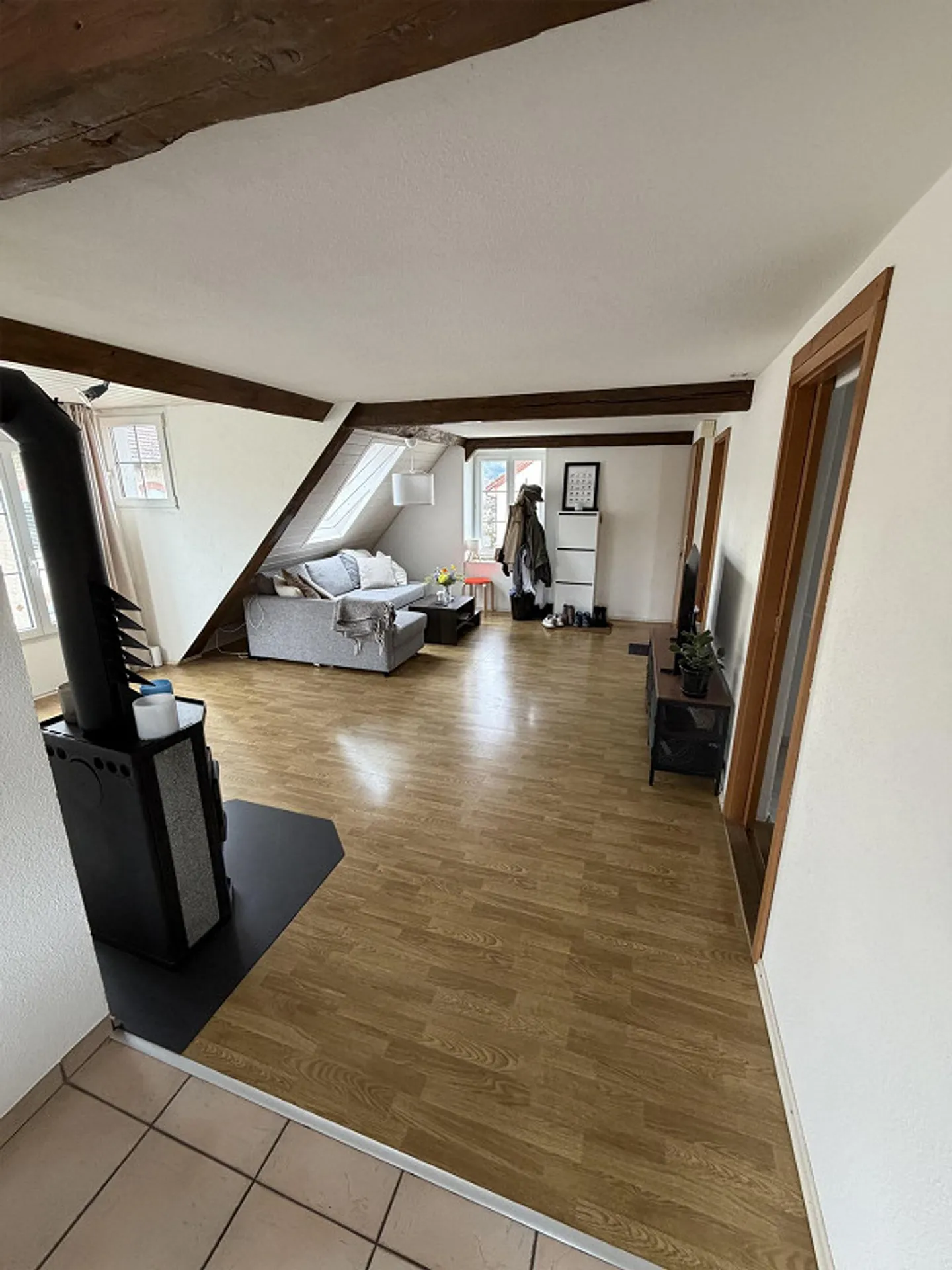 2.5 Room Apartment in Uster near Lake Greifen - Photo 3 of 4