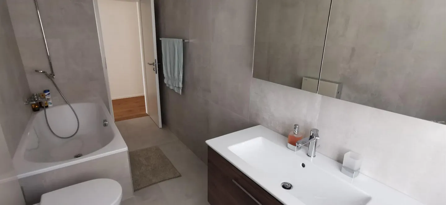 Appartamento 5 1/2 stanze Rhonesandstr. 12 (Centro) Brig - Foto 4 di 11