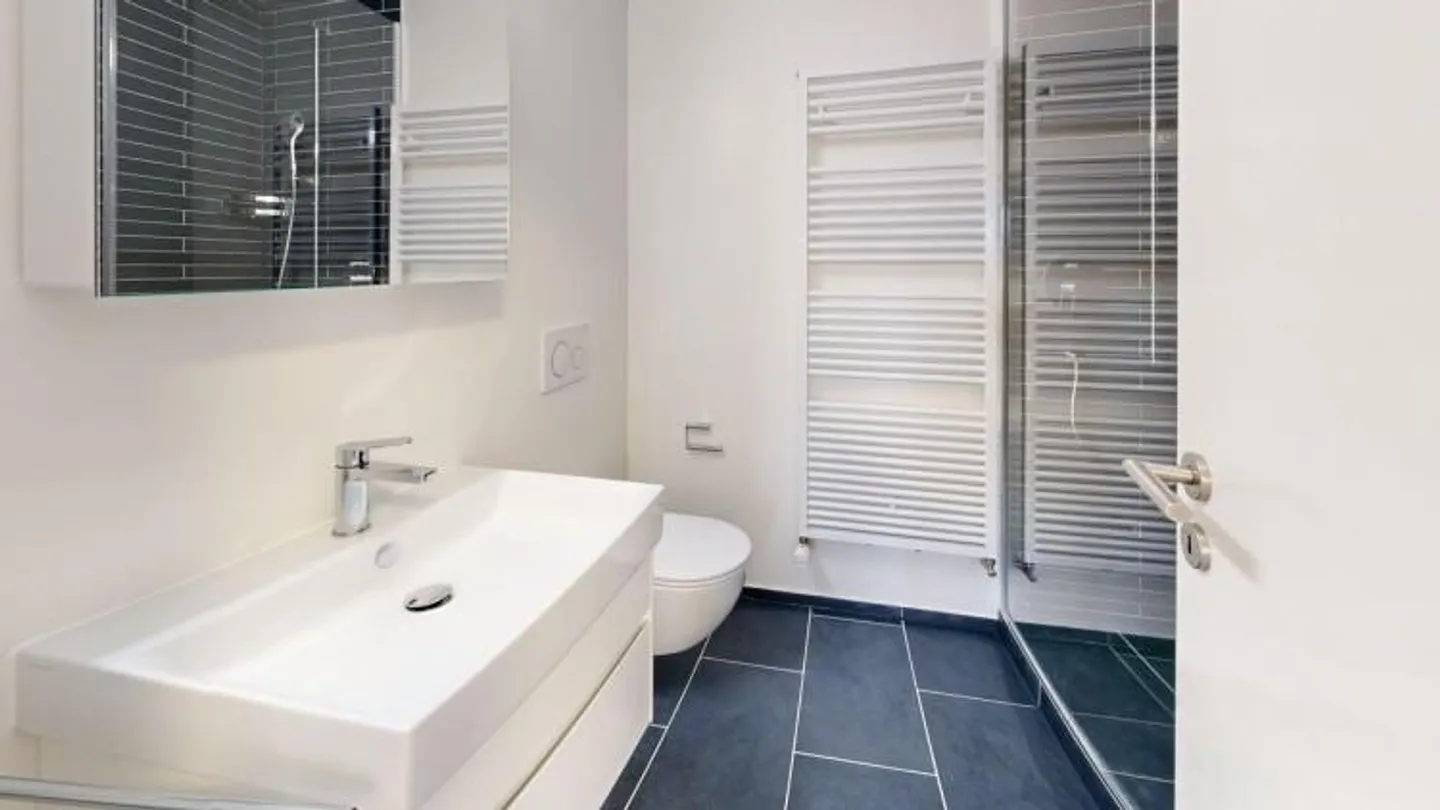 Appartement 4½ pièces fraîchement rénové - emménagez et sentez-vous bien ! - Photo 7 sur 8