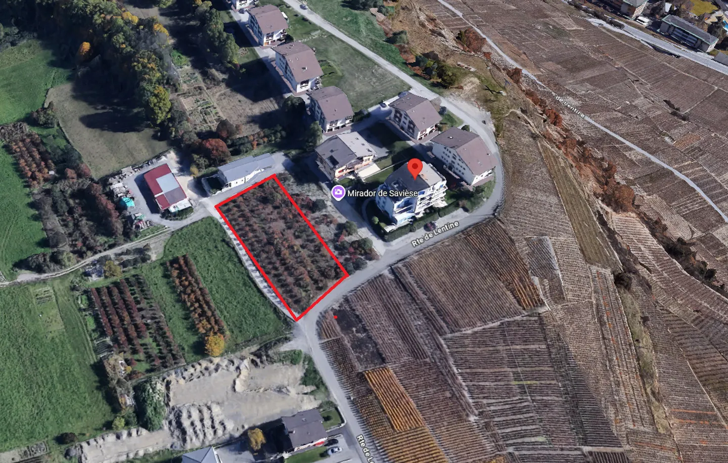 Nuova residenza "Lentine" - Foto 6 di 8