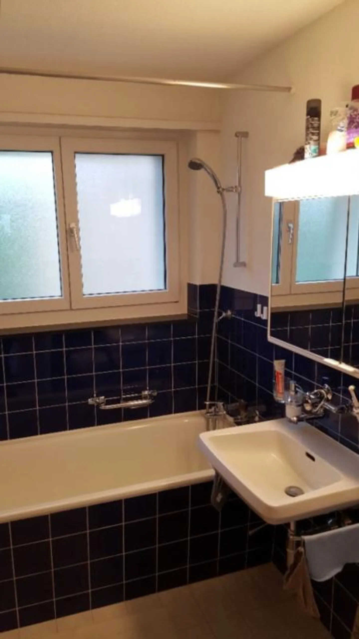 Ampio appartamento di 4 stanze in una posizione tranquilla a Steckborn - Foto 4 di 8