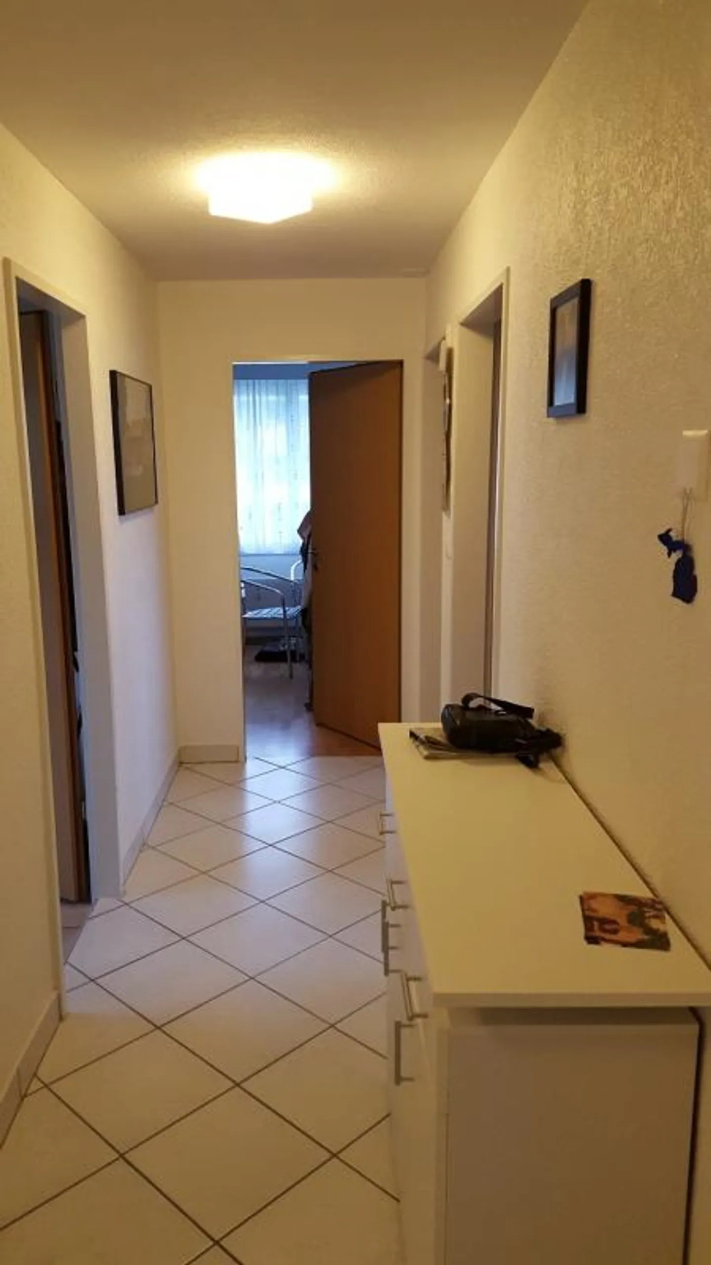 Ampio appartamento di 4 stanze in una posizione tranquilla a Steckborn - Foto 2 di 8